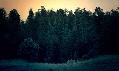 二次元文化中的权谋叙事:ACG作品里的马基雅维利英雄 - 学术研究文章配图