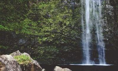 多模态大语言模型在医学影像诊断中的跨域知识蒸馏方法研究综述 - 学术研究文章配图